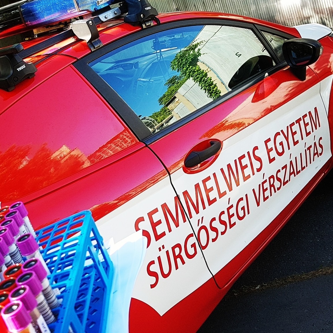 Vérminták a járműben